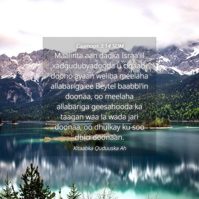 Picture 04 - Caamoos 3:14 SOM - Maalinta aan dadka Israa'iil xadgudubyadooda u - Bible Verse Picture