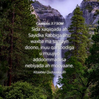 Picture 04 - Caamoos 3:7 SOM - Sida xaqiiqada ah Sayidka Rabbiga ahu waxba ma - Bible Verse Picture
