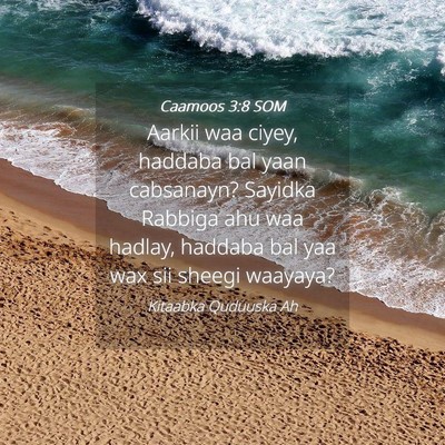 Picture 04 - Caamoos 3:8 SOM - Aarkii waa ciyey, haddaba bal yaan cabsanayn? - Bible Verse Picture