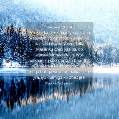 Picture 04 - Caamoos 3:9 SOM - Warkan ka dhex naadiya daaraha waaweyn ee Ashdood - Bible Verse Picture