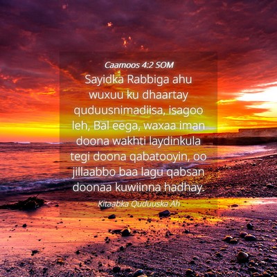 Picture 04 - Caamoos 4:2 SOM - Sayidka Rabbiga ahu wuxuu ku dhaartay - Bible Verse Picture