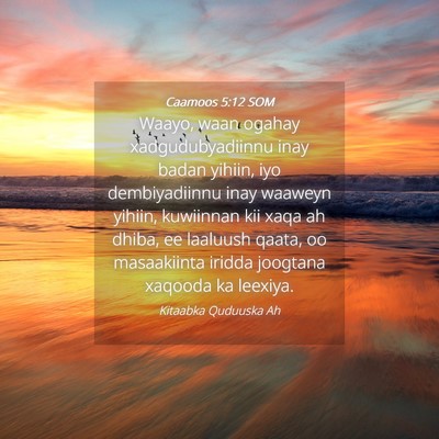 Picture 04 - Caamoos 5:12 SOM - Waayo, waan ogahay xadgudubyadiinnu inay badan - Bible Verse Picture