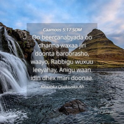 Picture 04 - Caamoos 5:17 SOM - Oo beercanabyada oo dhanna waxaa jiri doonta - Bible Verse Picture