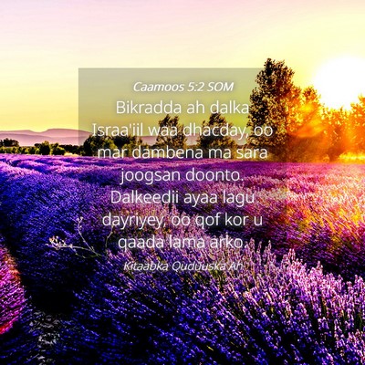 Picture 04 - Caamoos 5:2 SOM - Bikradda ah dalka Israa'iil waa dhacday, oo mar - Bible Verse Picture