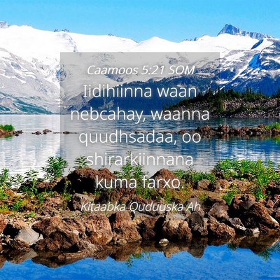 Picture 04 - Caamoos 5:21 SOM - Iidihiinna waan nebcahay, waanna quudhsadaa, oo - Bible Verse Picture