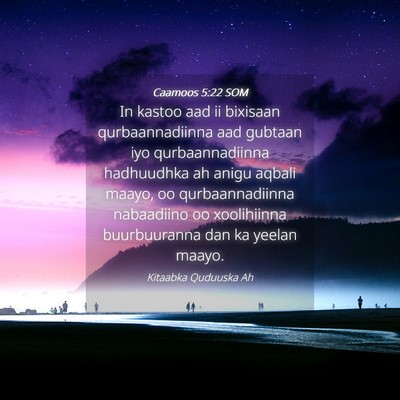 Picture 04 - Caamoos 5:22 SOM - In kastoo aad ii bixisaan qurbaannadiinna aad - Bible Verse Picture