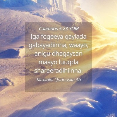 Picture 04 - Caamoos 5:23 SOM - Iga fogeeya qaylada gabayadiinna, waayo, anigu - Bible Verse Picture