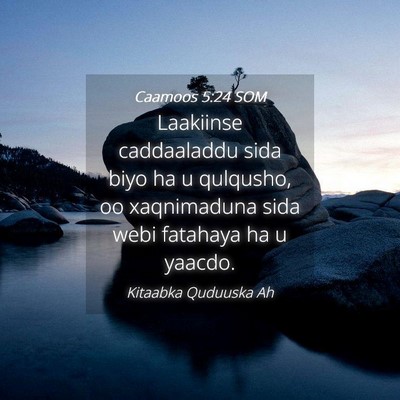 Picture 04 - Caamoos 5:24 SOM - Laakiinse caddaaladdu sida biyo ha u qulqusho, oo - Bible Verse Picture