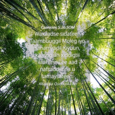 Picture 04 - Caamoos 5:26 SOM - Waxaadse sidateen Taambuuggii Moleg iyo - Bible Verse Picture
