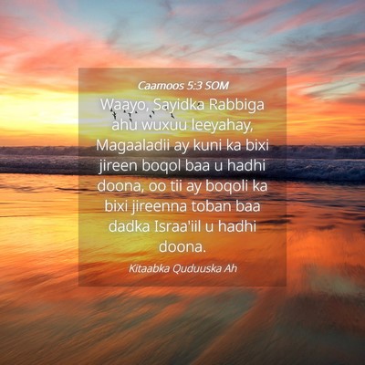 Picture 04 - Caamoos 5:3 SOM - Waayo, Sayidka Rabbiga ahu wuxuu leeyahay, - Bible Verse Picture