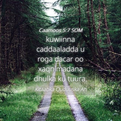 Picture 04 - Caamoos 5:7 SOM - kuwiinna caddaaladda u roga dacar oo xaqnimadana - Bible Verse Picture