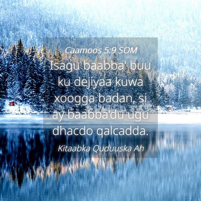 Picture 04 - Caamoos 5:9 SOM - Isagu baabba' buu ku dejiyaa kuwa xoogga badan, - Bible Verse Picture