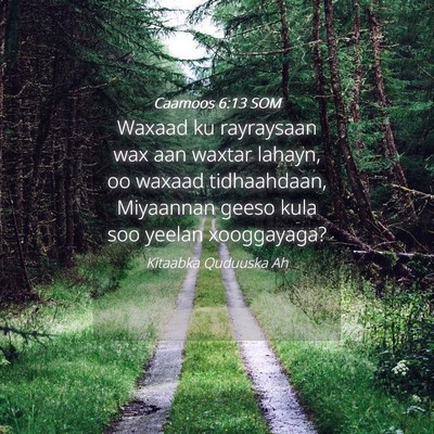 Picture 04 - Caamoos 6:13 SOM - Waxaad ku rayraysaan wax aan waxtar lahayn, oo - Bible Verse Picture
