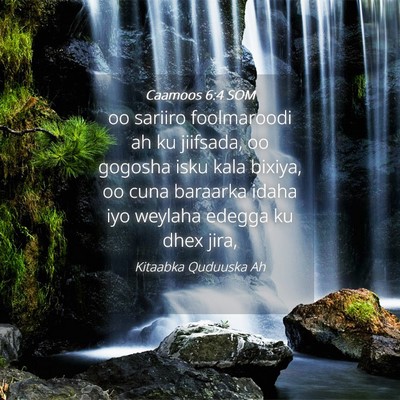Picture 04 - Caamoos 6:4 SOM - oo sariiro foolmaroodi ah ku jiifsada, oo gogosha - Bible Verse Picture