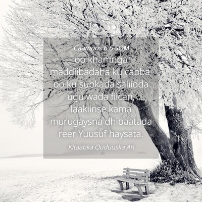 Picture 04 - Caamoos 6:6 SOM - oo khamriga maddiibadaha ku cabba, oo ku subkada - Bible Verse Picture