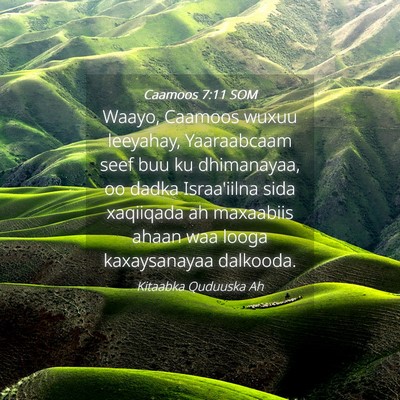Picture 04 - Caamoos 7:11 SOM - Waayo, Caamoos wuxuu leeyahay, Yaaraabcaam seef - Bible Verse Picture