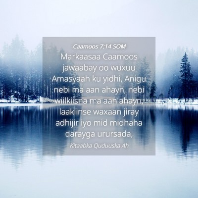 Picture 04 - Caamoos 7:14 SOM - Markaasaa Caamoos jawaabay oo wuxuu Amasyaah ku - Bible Verse Picture