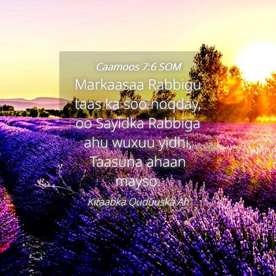 Picture 04 - Caamoos 7:6 SOM - Markaasaa Rabbigu taas ka soo noqday, oo Sayidka - Bible Verse Picture