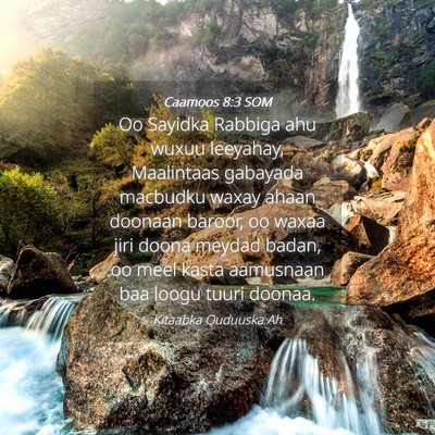 Picture 04 - Caamoos 8:3 SOM - Oo Sayidka Rabbiga ahu wuxuu leeyahay, Maalintaas - Bible Verse Picture