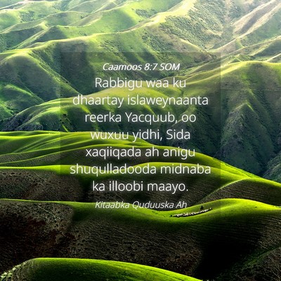 Picture 04 - Caamoos 8:7 SOM - Rabbigu waa ku dhaartay islaweynaanta reerka - Bible Verse Picture