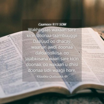 Picture 04 - Caamoos 9:11 SOM - Wakhtigaas waxaan sare kicin doonaa taambuuggii - Bible Verse Picture