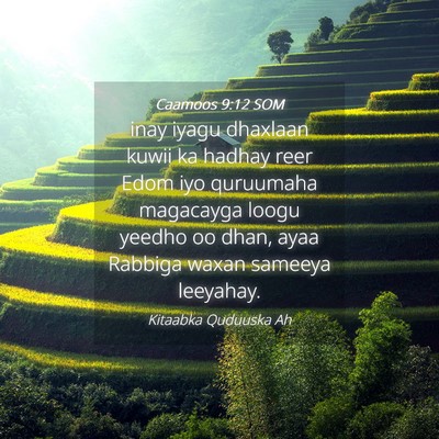 Picture 04 - Caamoos 9:12 SOM - inay iyagu dhaxlaan kuwii ka hadhay reer Edom iyo - Bible Verse Picture