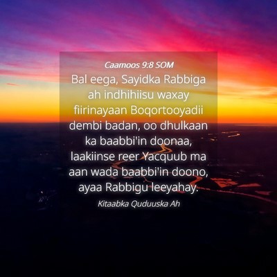 Picture 04 - Caamoos 9:8 SOM - Bal eega, Sayidka Rabbiga ah indhihiisu waxay - Bible Verse Picture