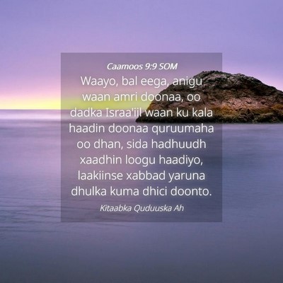 Picture 04 - Caamoos 9:9 SOM - Waayo, bal eega, anigu waan amri doonaa, oo dadka - Bible Verse Picture