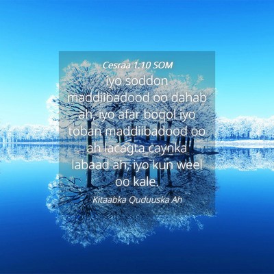 Picture 04 - Cesraa 1:10 SOM - iyo soddon maddiibadood oo dahab ah, iyo afar - Bible Verse Picture