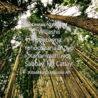Picture 04 - Cesraa 10:28 SOM - Wiilashii Beebayna, Yehooxaanaan, iyo Xananyaah, - Bible Verse Picture