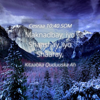 Picture 04 - Cesraa 10:40 SOM - Maknadbay, iyo Shaashay, iyo - Bible Verse Picture
