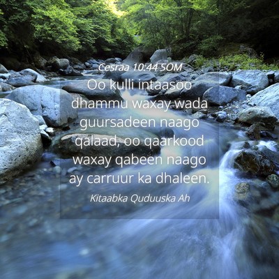 Picture 04 - Cesraa 10:44 SOM - Oo kulli intaasoo dhammu waxay wada guursadeen - Bible Verse Picture