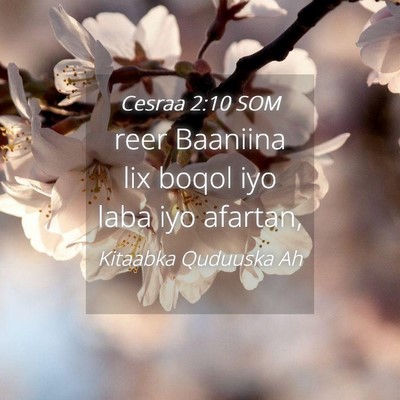 Picture 04 - Cesraa 2:10 SOM - reer Baaniina lix boqol iyo laba iyo - Bible Verse Picture