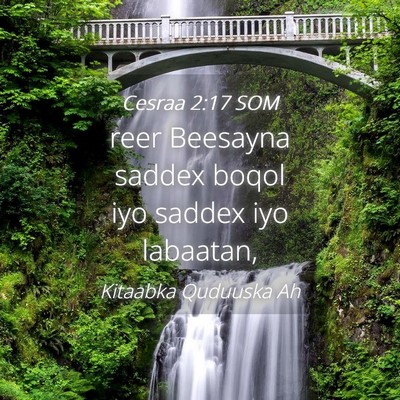 Picture 04 - Cesraa 2:17 SOM - reer Beesayna saddex boqol iyo saddex iyo - Bible Verse Picture