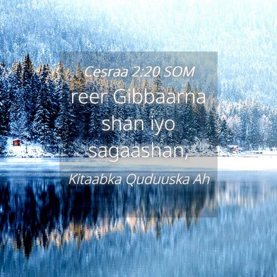 Picture 04 - Cesraa 2:20 SOM - reer Gibbaarna shan iyo - Bible Verse Picture