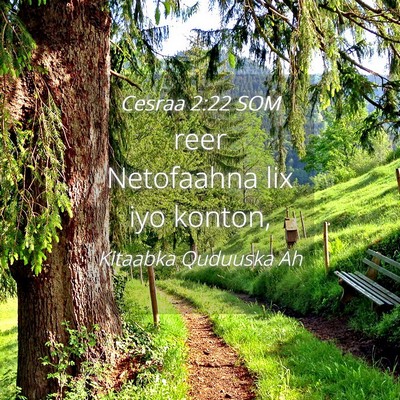 Picture 04 - Cesraa 2:22 SOM - reer Netofaahna lix iyo - Bible Verse Picture