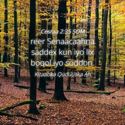 Picture 04 - Cesraa 2:35 SOM - reer Senaacaahna saddex kun iyo lix boqol iyo - Bible Verse Picture