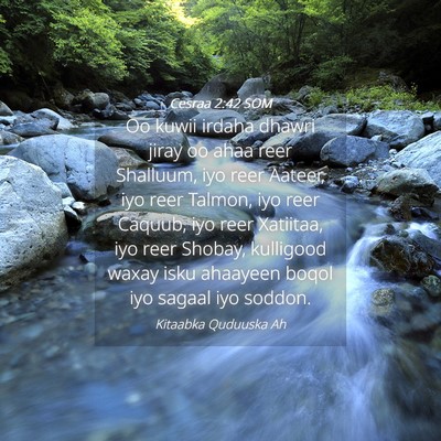 Picture 04 - Cesraa 2:42 SOM - Oo kuwii irdaha dhawri jiray oo ahaa reer - Bible Verse Picture