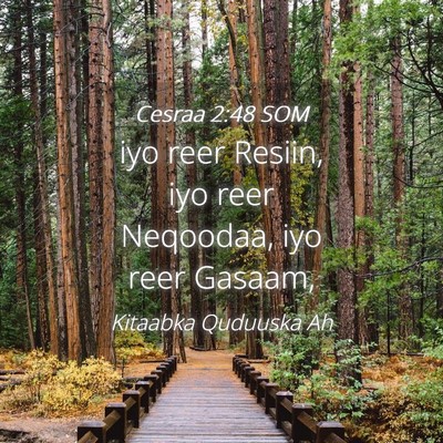 Picture 04 - Cesraa 2:48 SOM - iyo reer Resiin, iyo reer Neqoodaa, iyo reer - Bible Verse Picture