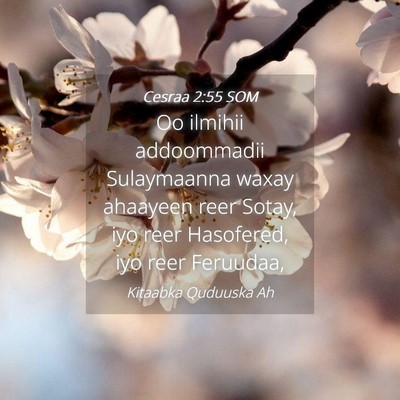 Picture 04 - Cesraa 2:55 SOM - Oo ilmihii addoommadii Sulaymaanna waxay ahaayeen - Bible Verse Picture