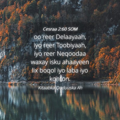 Picture 04 - Cesraa 2:60 SOM - oo reer Delaayaah, iyo reer Toobiyaah, iyo reer - Bible Verse Picture