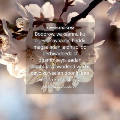 Picture 04 - Cesraa 4:16 SOM - Boqorow, waxaannu ku ogeysiinaynaa in haddii - Bible Verse Picture