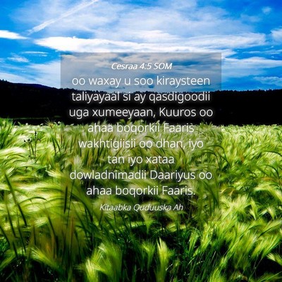 Picture 04 - Cesraa 4:5 SOM - oo waxay u soo kiraysteen taliyayaal si ay - Bible Verse Picture