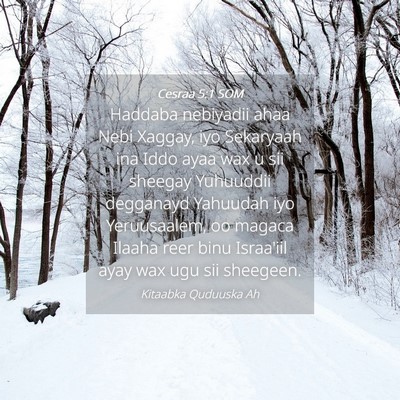 Picture 04 - Cesraa 5:1 SOM - Haddaba nebiyadii ahaa Nebi Xaggay, iyo Sekaryaah - Bible Verse Picture