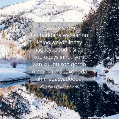 Picture 04 - Cesraa 5:10 SOM - Oo haddana waxaannu kaloo weyddiinnay - Bible Verse Picture