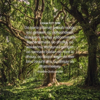 Picture 04 - Cesraa 5:11 SOM - Oo iyana sidanay jawaab noogu soo celiyeen oo - Bible Verse Picture