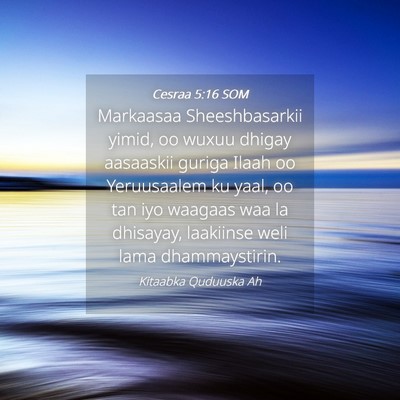 Picture 04 - Cesraa 5:16 SOM - Markaasaa Sheeshbasarkii yimid, oo wuxuu dhigay - Bible Verse Picture