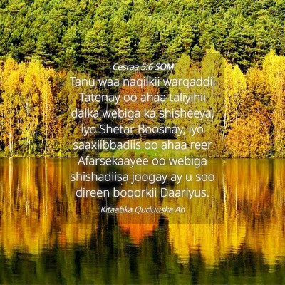Picture 04 - Cesraa 5:6 SOM - Tanu waa naqilkii warqaddii Tatenay oo ahaa - Bible Verse Picture