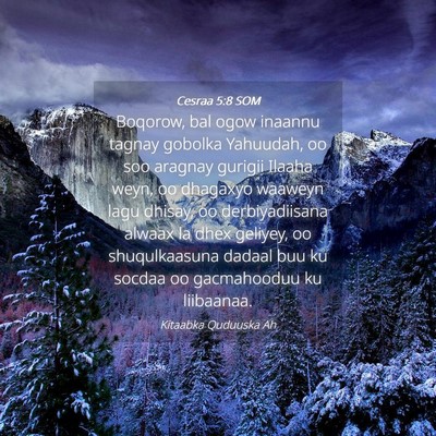 Picture 04 - Cesraa 5:8 SOM - Boqorow, bal ogow inaannu tagnay gobolka - Bible Verse Picture