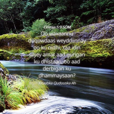 Picture 04 - Cesraa 5:9 SOM - Oo waxaannu duqowdaas weyddiinnay oo ku nidhi, - Bible Verse Picture